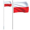 vidaXL Vlajka Polska a stož&aacute;r 6,08 m hlin&iacute;k