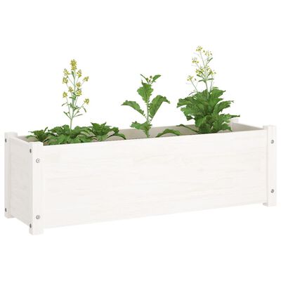 vidaXL Zahradní truhlík bílý 100 x 31 x 31 cm masivní borovice