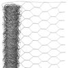 Nature Dr&aacute;těn&eacute; pletivo &scaron;esti&uacute;heln&iacute;kov&eacute; 1 x 5 m 40 mm pozinkovan&aacute; ocel