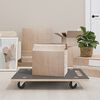 vidaXL Přepravn&iacute; voz&iacute;ky 2 ks obd&eacute;ln&iacute;kov&eacute; 80 x 55 x 11,5 cm 250 kg
