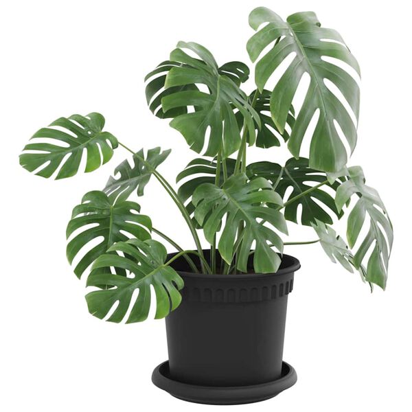 Zobrazen&iacute; obr&aacute;zku produktu 3 z 12