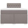 vidaXL Box spring postel s matrac&iacute; taupe 120x190 cm textil