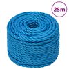 vidaXL Pracovn&iacute; lano modr&eacute; 20 mm 25 m polypropylen