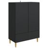 vidaXL Serv&iacute;rovac&iacute; skř&iacute;ň Čern&aacute; 66 x 34,5 x 95 cm Kompozitn&iacute; dřevo