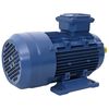 vidaXL 3f&aacute;zov&yacute; elektromotor hlin&iacute;kov&yacute; 2,2 kW/3 hp 2 p&oacute;ly 2840 ot./min