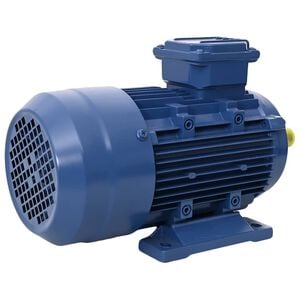 vidaXL 3f&aacute;zov&yacute; elektromotor hlin&iacute;kov&yacute; 2,2 kW/3 hp 2 p&oacute;ly 2840 ot./min