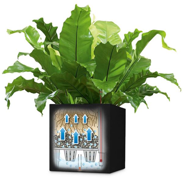 LECHUZA Truhlík Canto Color Square 40 ALL-IN-ONE grafitový 13722