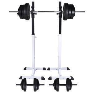 vidaXL Posilovac&iacute; stojan se sadou činek barbell a dumbbell 60,5 kg