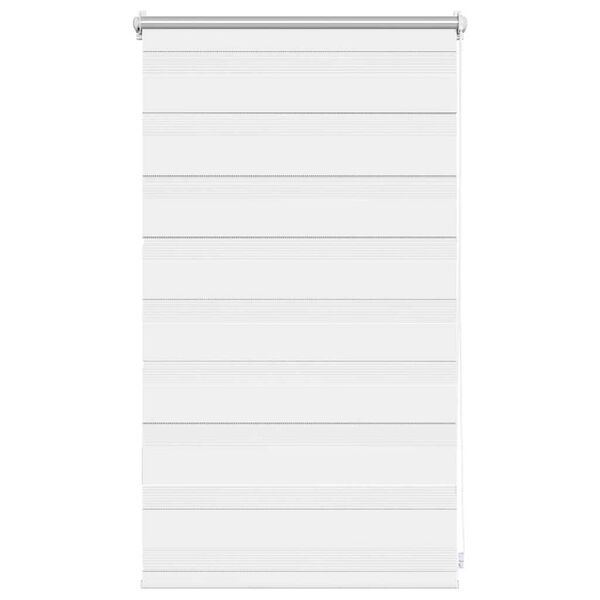 Roleta den a noc / Zebra / Twinroll 50x100 cm bílá