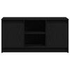 vidaXL TV jednotky Černá 100 x 34 x 50 cm Kompozitní dřevo