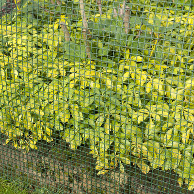 Nature Pletivo pro zahradní plot 5 x 5 mm 1 x 3 m zelené