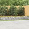 vidaXL Klenut&yacute; gabion vyv&yacute;&scaron;en&yacute; z&aacute;hon 600x50x50 cm pozinkovan&eacute; železo