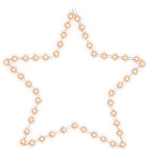 vidaXL Vánoční hvězda se 48 teplými bílými LED 56 cm