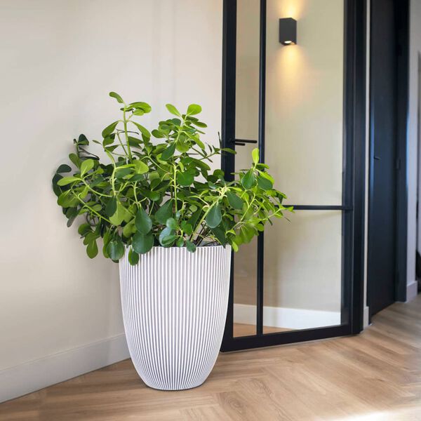 Capi Truhl&iacute;k Groove 34 x 46 cm slonovinov&yacute;