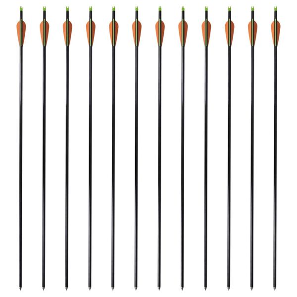 Standardní šípy ke kladkovému luku 30" 0,8 cm sklolaminát 12 ks