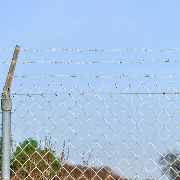 vidaXL Ostnat&yacute; dr&aacute;t Stř&iacute;brn&aacute; 100 m Železo pozinkovan&eacute; hork&yacute;m ponorem