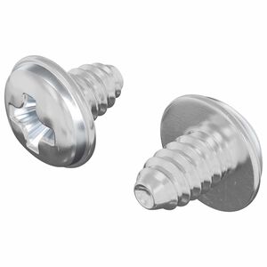 vidaXL Z&aacute;mkov&eacute; &scaron;rouby 2 ks Stř&iacute;brn&aacute; M4 x 5 mm Železo