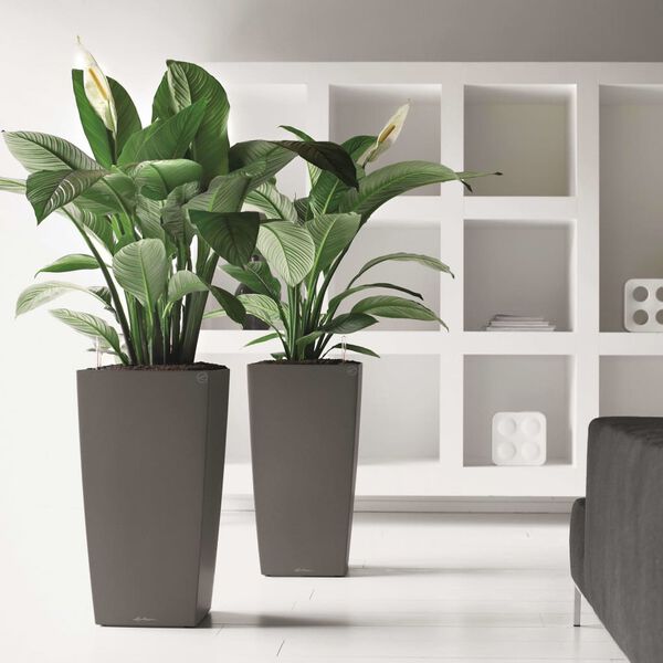 LECHUZA Květináč Cubico 30 ALL-IN-ONE uhlový 18184