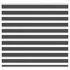 vidaXL Zebra roleta čern&aacute; 155x100 cm &scaron;&iacute;řka l&aacute;tky 150,9 cm polyester