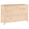 vidaXL Zahradn&iacute; vyv&yacute;&scaron;en&yacute; z&aacute;hon 119,5 x 40 x 78 cm masivn&iacute; borov&eacute; dřevo