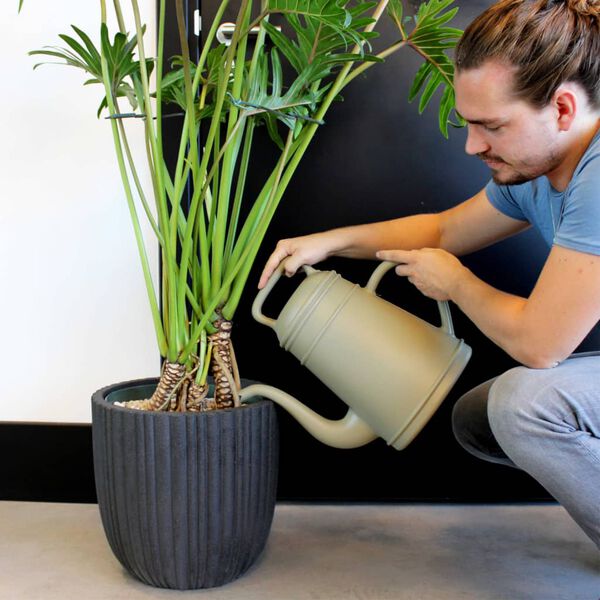 Capi Konev na zal&eacute;v&aacute;n&iacute; Xala Lungo 12 l &scaron;ed&aacute;