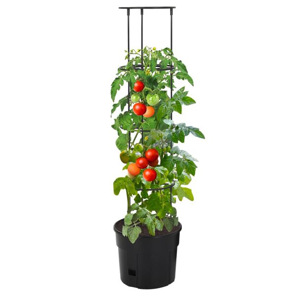 Zobrazen&iacute; obr&aacute;zku produktu 2 z 6