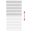 vidaXL Zebra roleta světle šedá 80x100cm šířka látky 75,9 cm polyester