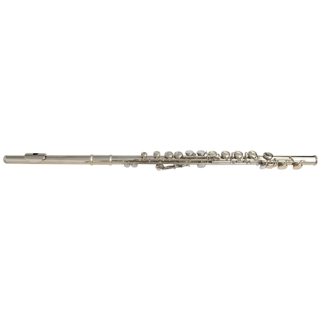 vidaXL Stříbrná příčná flétna s měkkým pouzdrem, 16 dírek