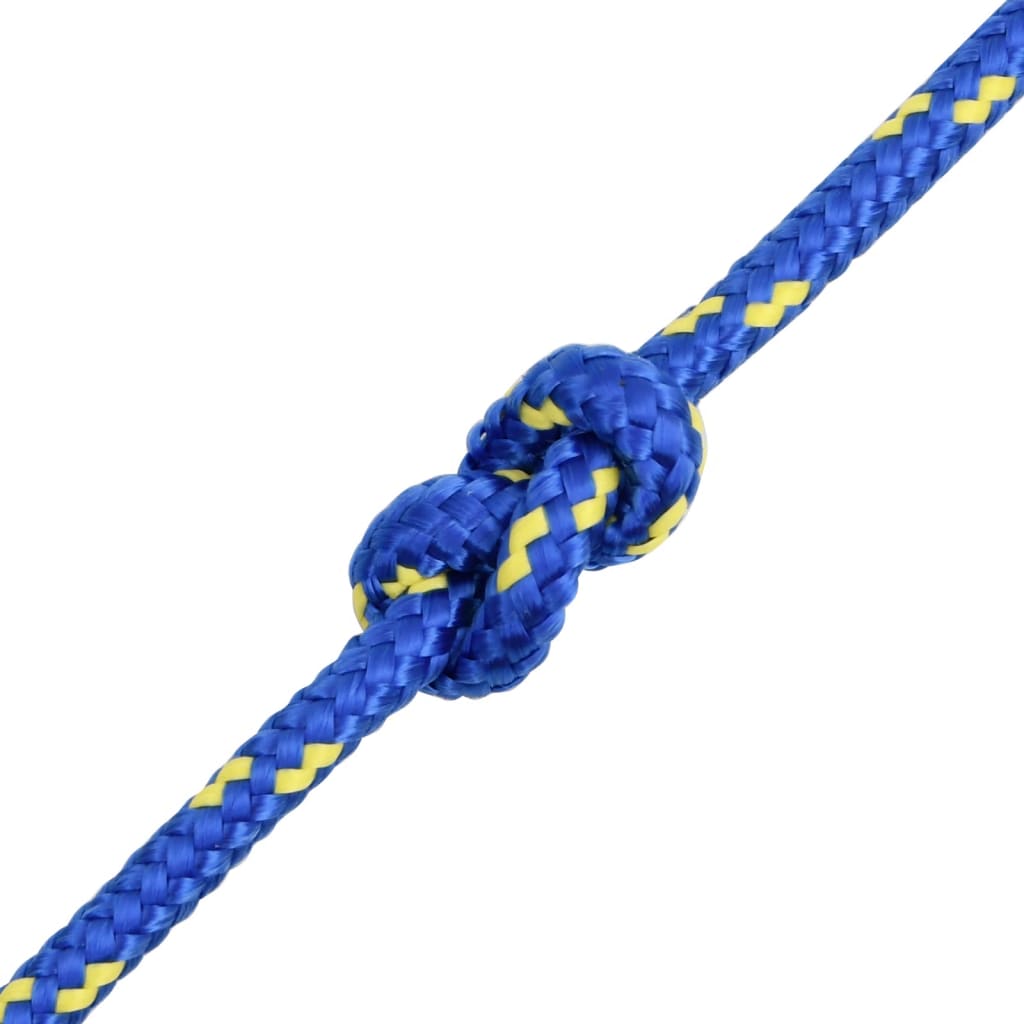 vidaXL Lodní lano modré 6 mm 25 m polypropylen