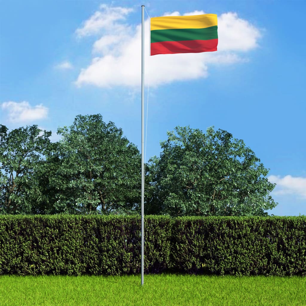 vidaXL Litevská vlajka a stožár hliník 6,2 m