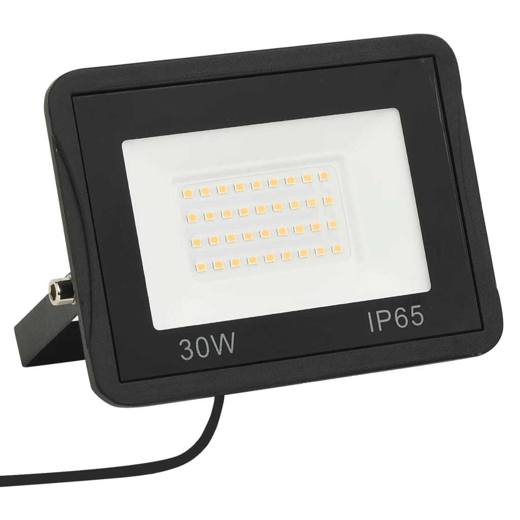 vidaXL LED reflektory 2 ks 30 W studené bílé světlo