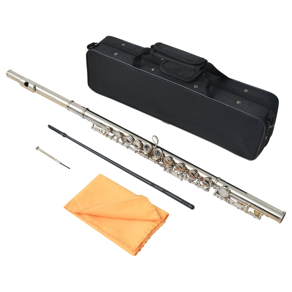 vidaXL Stříbrná příčná flétna s měkkým pouzdrem, 16 dírek