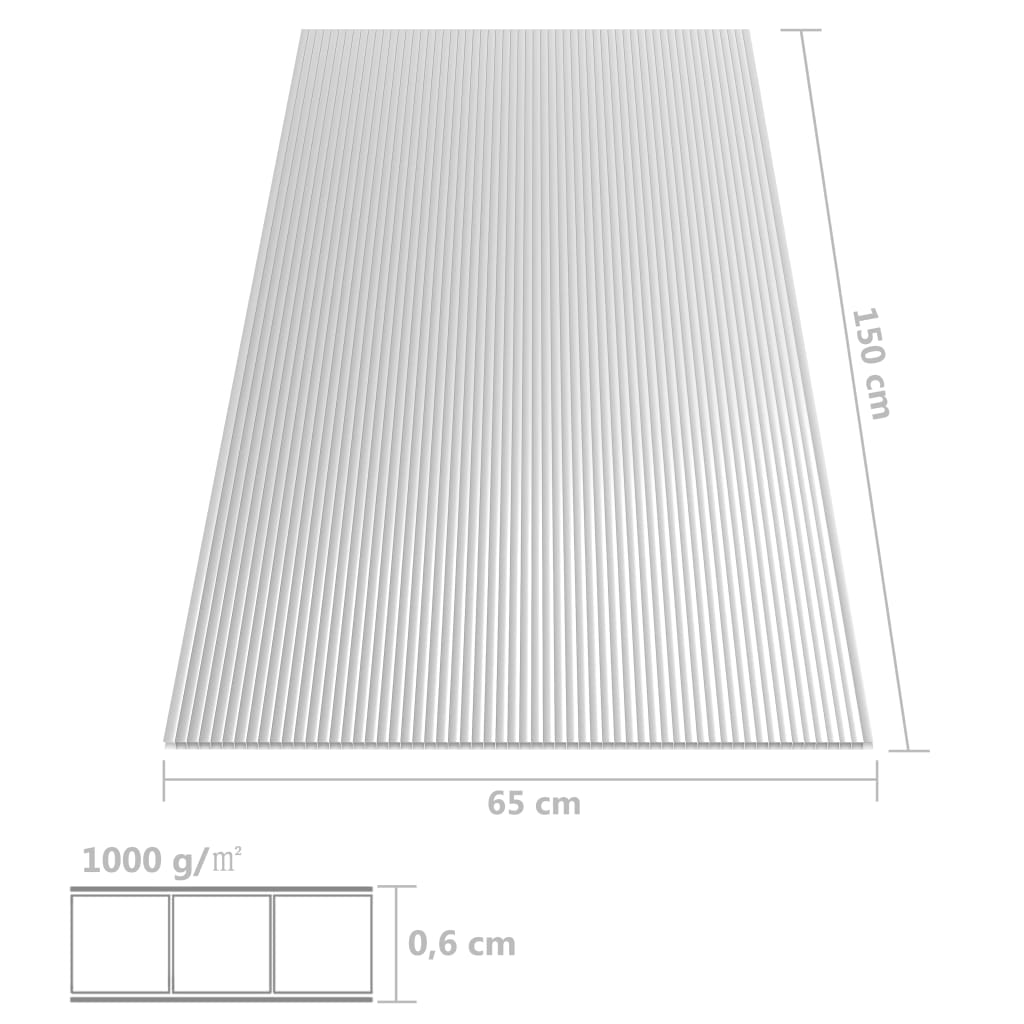 vidaXL Polykarbonátové desky 2 ks 6 mm 150 x 65 cm