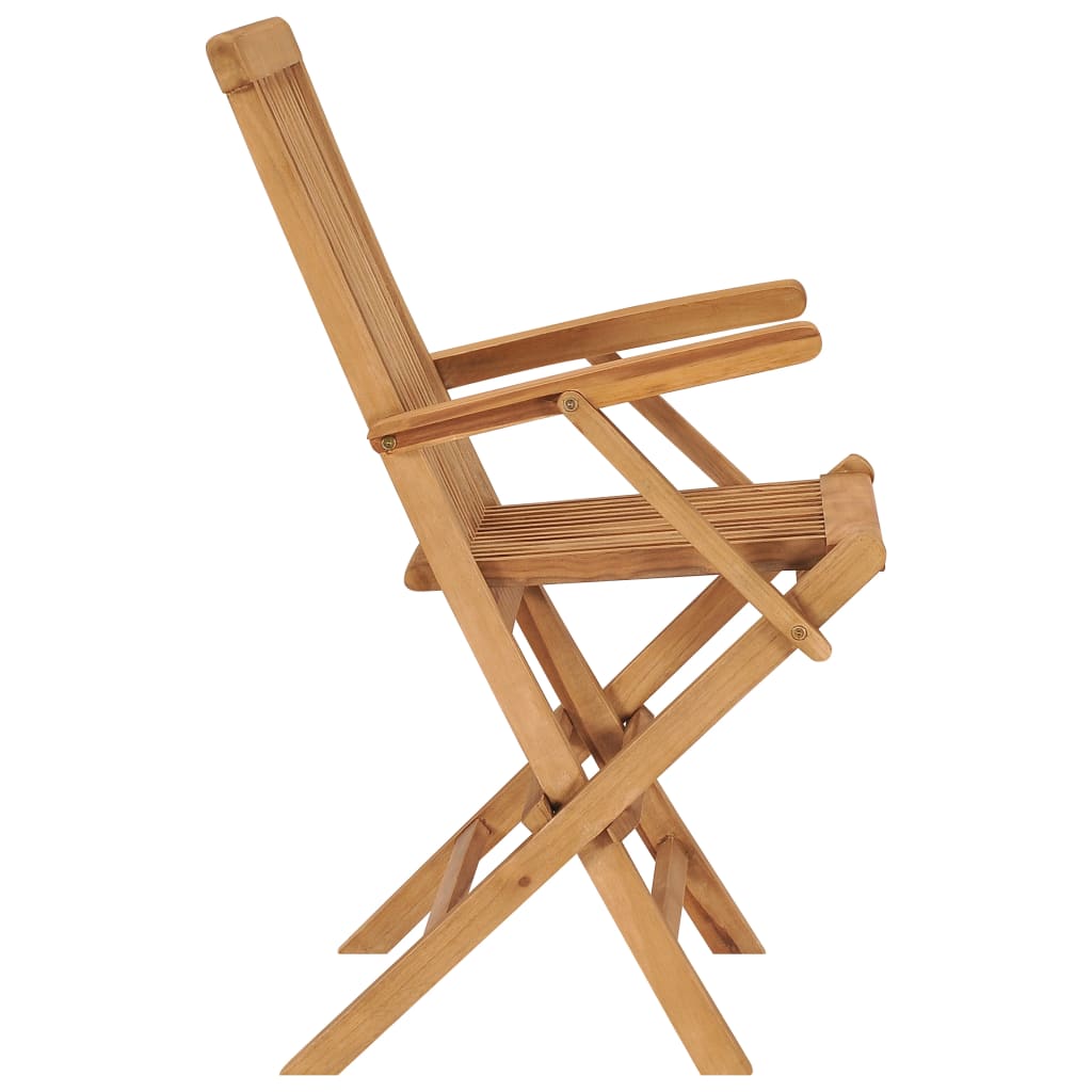 vidaXL Skládací zahradní židle 2 ks masivní teakové dřevo
