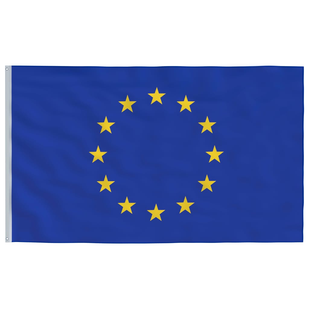 vidaXL Vlajka Evropské unie a stožár 5,55 m hliník