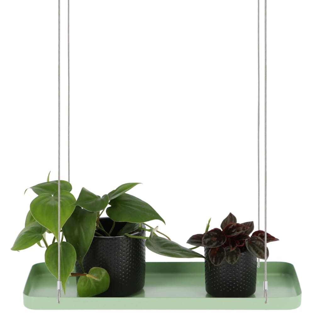 Esschert Design Závěsný podnos na rostliny obdélníkový zelený S