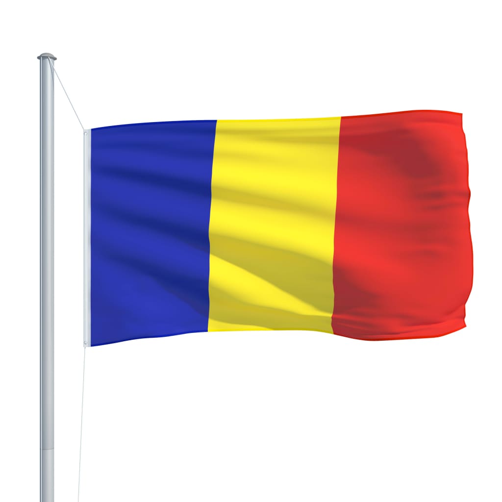 vidaXL Rumunská vlajka a stožár hliník 6,2 m