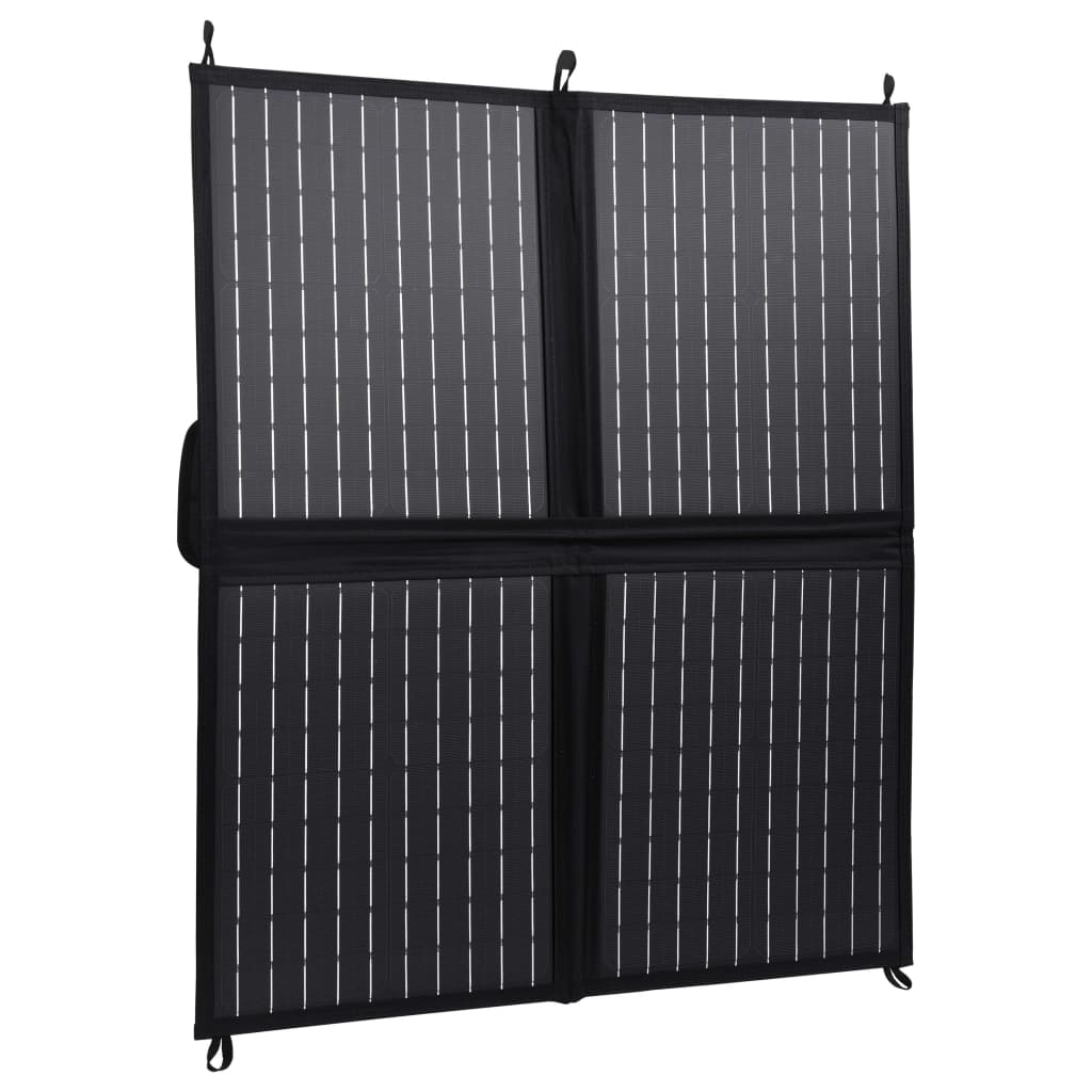 vidaXL Skládací solární nabíječka 80 W 12 V
