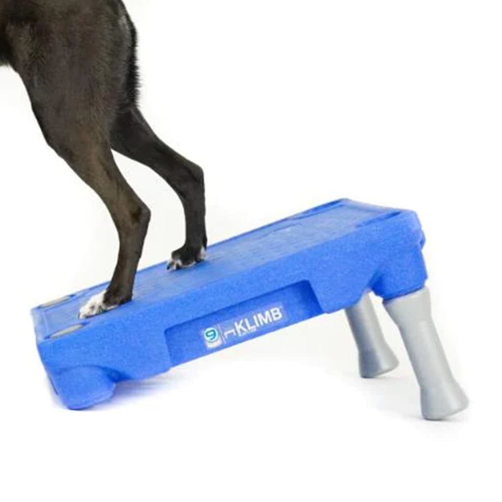 BLUE-9 Platforma pro výcvikový systém pro psy KLIMB modrá