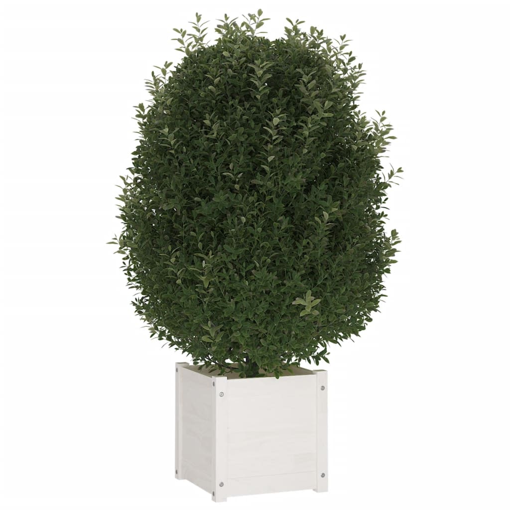 vidaXL Zahradní truhlík bílý 40 x 40 x 40 cm masivní borovice