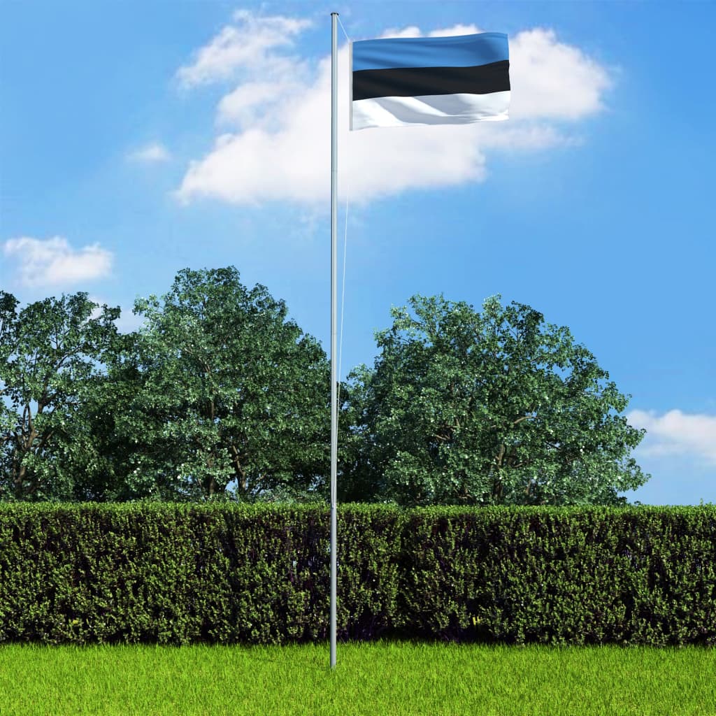 vidaXL Estonská vlajka a stožár hliník 6,2 m