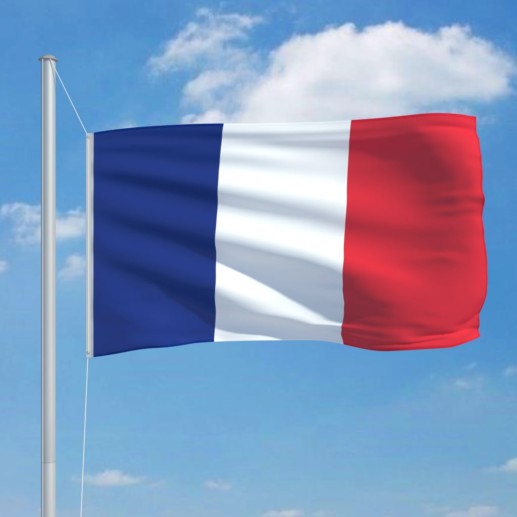 vidaXL Francouzská vlajka 90 x 150 cm