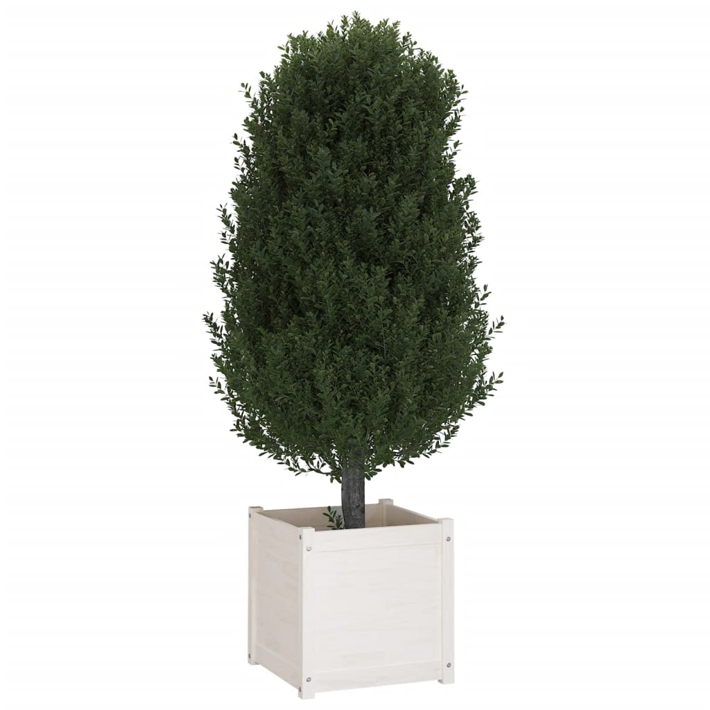 vidaXL Zahradní truhlík bílý 50 x 50 x 50 cm masivní borovice
