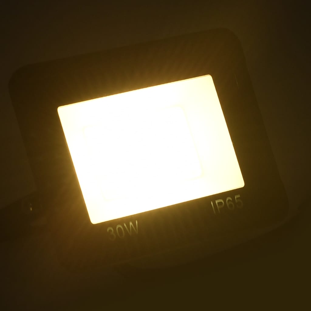 vidaXL LED reflektor 30 W teplé bílé světlo