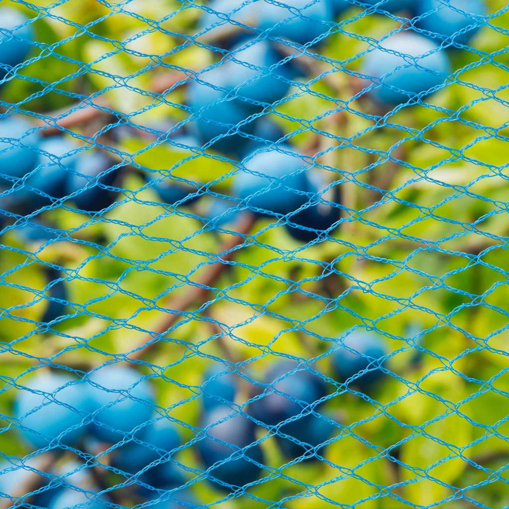 Nature Síť proti ptákům Nano 10 x 4 m modrá