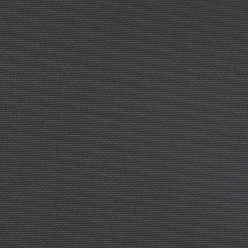 vidaXL Zatahovací boční markýza černá 100 x 300 cm