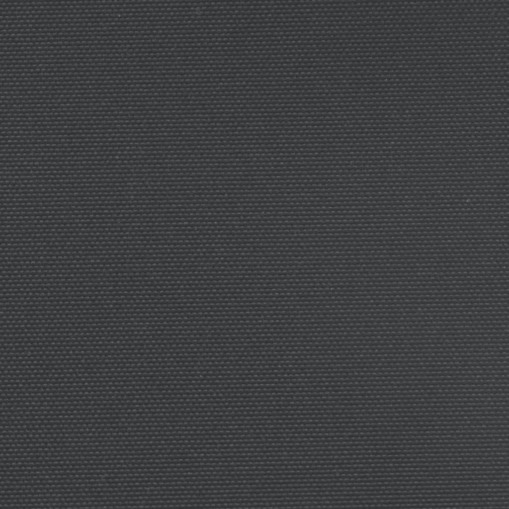 vidaXL Zatahovací boční markýza černá 160 x 1 200 cm