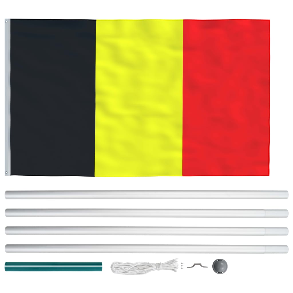 vidaXL Belgická vlajka a stožár hliník 6,2 m