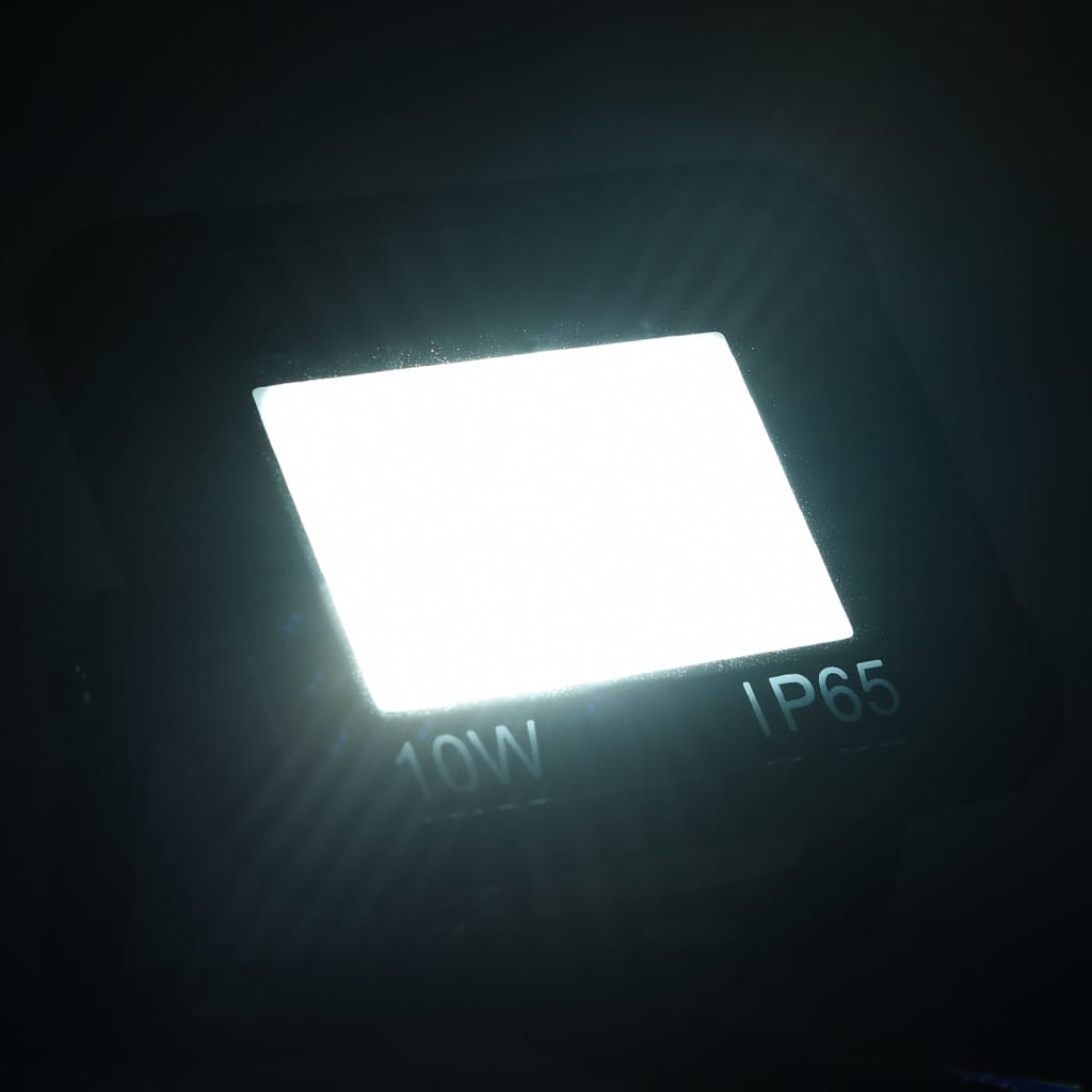 vidaXL LED reflektory 2 ks 10 W studené bílé světlo