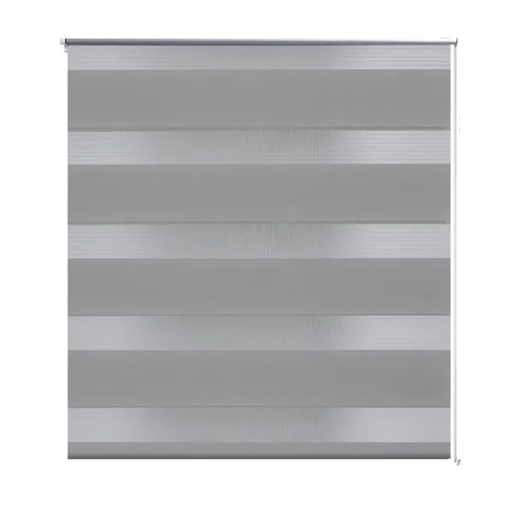 Roleta den a noc / Zebra / Twinroll 100x175 cm šedá